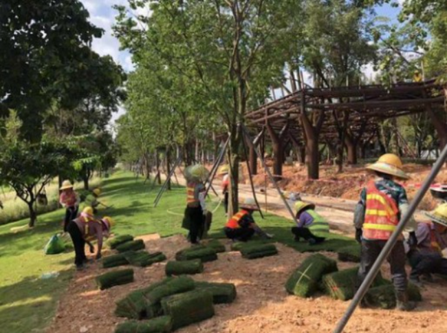 开州园林绿化工程竣工资料及结算代做